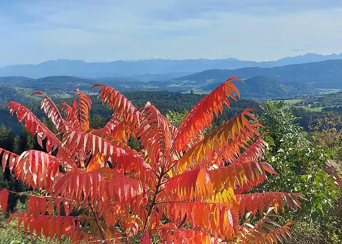 דירה Nadine Egger הימלברג